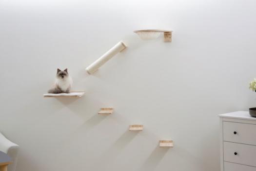 Katzen Spielpark Rocky von Kerbl